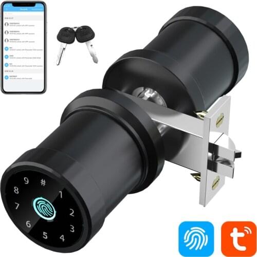 TUYA Smart Ball Lock Fingerprint Lock Bluetooth-compatible Smart Door Lock Password Key Fingerprint APP Four Unlocking Methods
