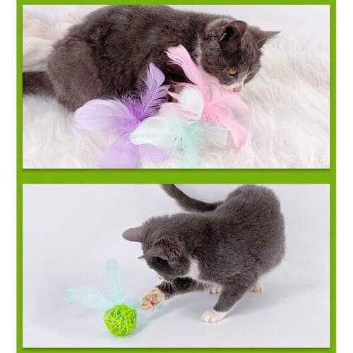 1PCS Random Color Cat Toy Rattan Ball Toy Artificial Feather Decor Cat Ball Toy Cat Teaser Toy Cat Scratch Toy Bite Toy Legendog
