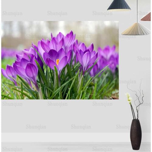 Flower Crocus Poster Wall For Living Room Art Poster Decoration Canvas Fabric Bright No Frame Morden Print Wall 0422
