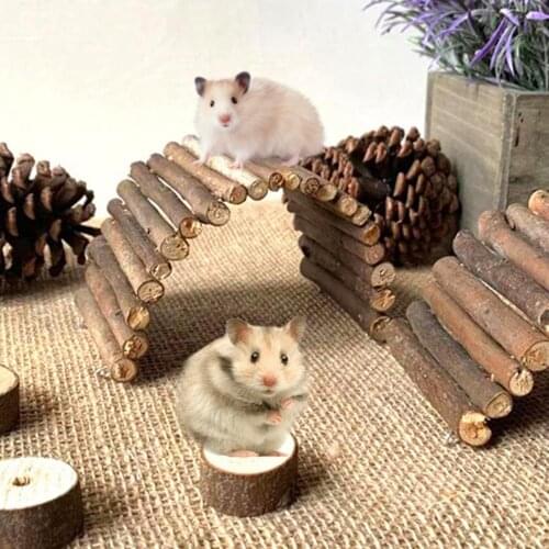 Funny Hamster Ladder Arch Bridge Stable Wood Multifunctional Pet Shelter Cage Toy for Parrot Accessories Play Supplies