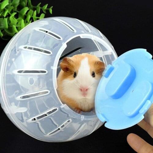 Portable Pet Rodent Mice Jogging Ball Hamster Gerbil Rat Exercise Plastic Funny Solid Hamster Running Balls Play Toys Accessory