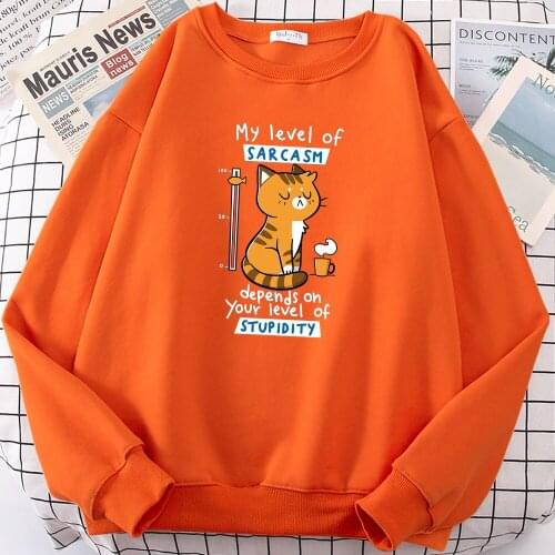 My Level Of Carcasm Depend On Your Level Print Hoodie Womens Hipster Fleece Hoody Hip Hop Oversize Sweatshirt Autumn Fleece Tops