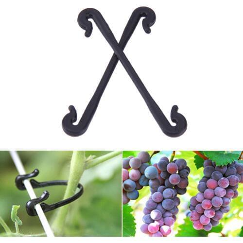 100/200pcs Garden Plant Vegetable Grafting Clips Fastener Vines Grape Support Vine Clips Garden Plants Vegetables Fixed Buckle