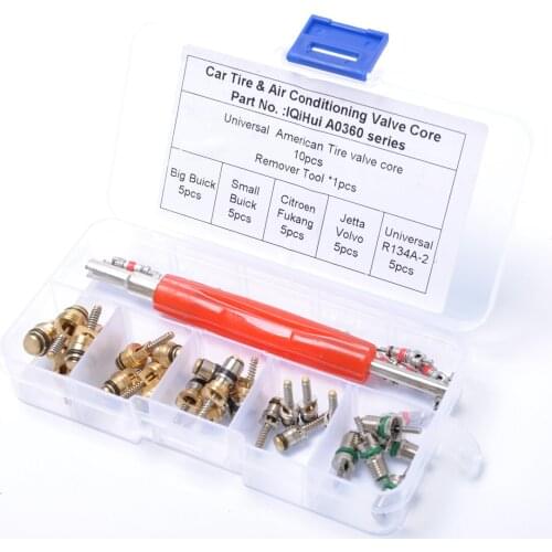 Car R134A Air Conditioning Valve Core 35 Pcs Assortment & Remover Tool