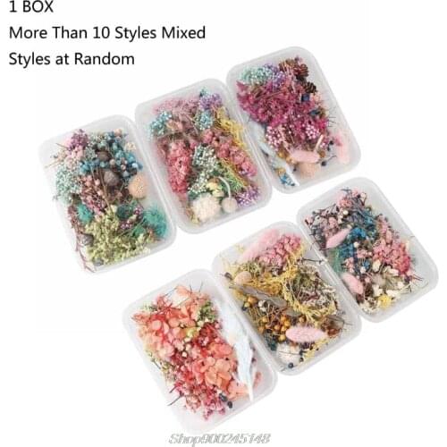 Real Pressed Flower Leaf Dried Daisy Flower Resin Flower Dry Beauty Nail Art Decals Epoxy Mold Fillings Jewelry Making Dropship