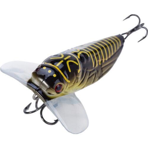 Olago Cicadas