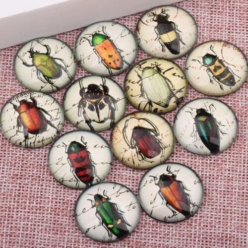 Onwear handmade victorian insects photo glass cabochon 12mm 14mm 18mm 20mm 25mm mixed round dome flatback pendant findings