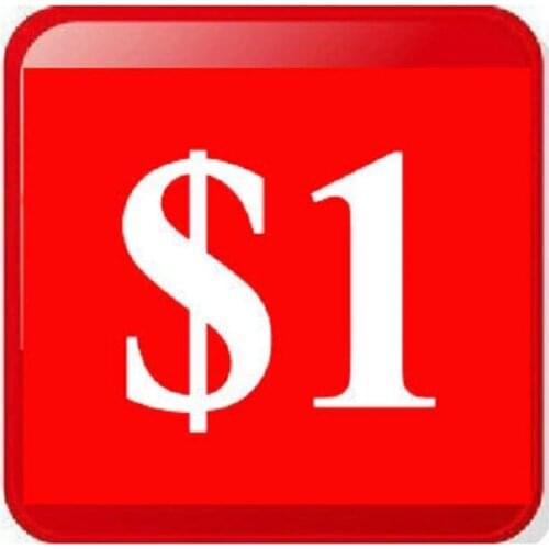 Extra Fee for Shipping Cost & Fill Price Difference, etc ($1.3 Per Piece)