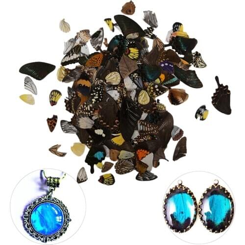 100Pcs Real Butterfly Wings Random Gift DIY Jewelry Artwork Art Hand Craft