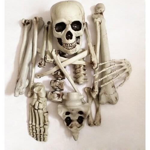 19pcs/pack Halloween Skeleton Full Body Halloween Skeleton with Movable Joints for Best Halloween Decoration