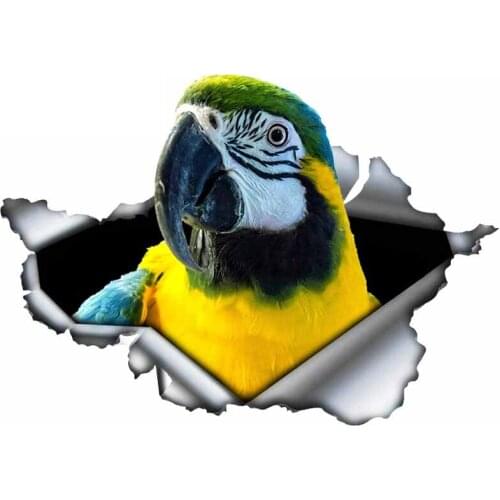 Torn Metal Parrots Car Sticker Car Bumper Stickers and Decals Car Styling Decoration Door Body Window Vinyl Stickers Kk13*9cm