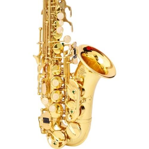 Gold Lacquer Brass Instrument Accessories Professional Bb Saxophone For Kids