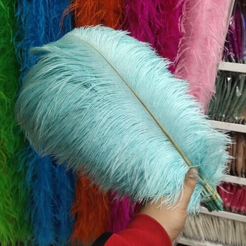 Best-Selling 10pcs Beautiful Mint Green ostrich feathers 10-12inches / 25-30cm For Wedding Christmas Home Craft Decoration