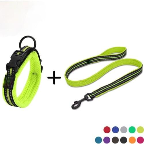 Polo Pet Animal Decorations