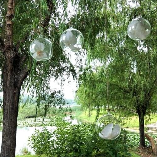 10CM Hanging Glass Vase Succulent Air Plant Display Terrarium,Decorative Clear Glass Globe Hanging Air Plant Terrarium 100pcs