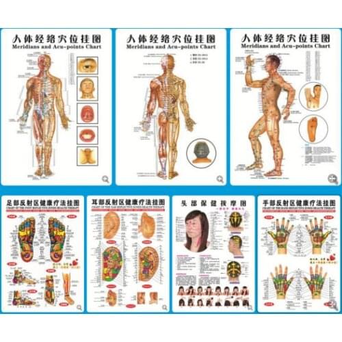 7 / 3 Pcs Chinese and English posters of moxibustion and moxibustion on acupoints and meridians of traditional Chinese medicine