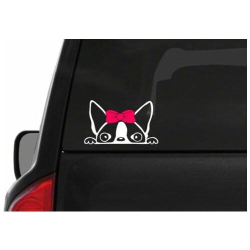 Peeking Boston Terrier Girl (A24) Pink Bow Vinyl Decal Sticker Car Laptop Window KK Vinyl Cover Scratches Waterproof PVC