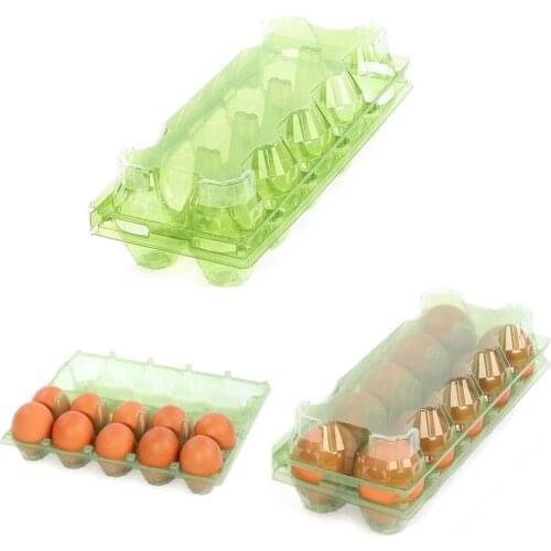 GREEN Disposable 10 Holes Eggs Container Plastic Clear Egg Packing Storage Box Organizer Carry Racks And Shelf