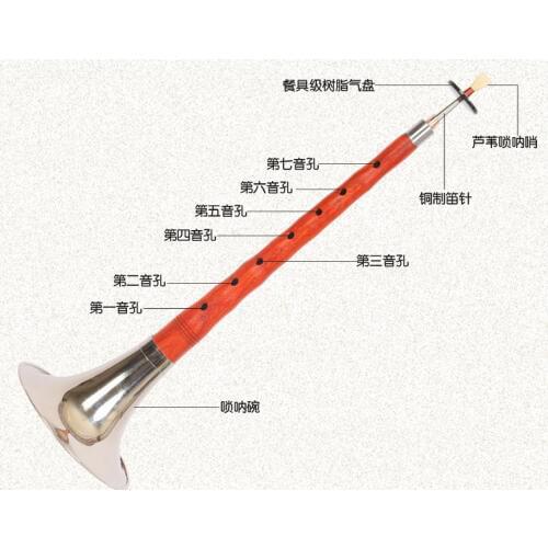 2017 musical instrument full set of d professional professional suona bar factory direct adult children beginner entry mahogany