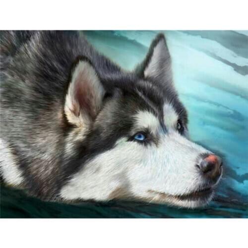 3D Full Drill Diy diamond painting Square Rhinestones Diamond mosaic handmade Animal Wolf cross stitch Diamond embroidery A5741R