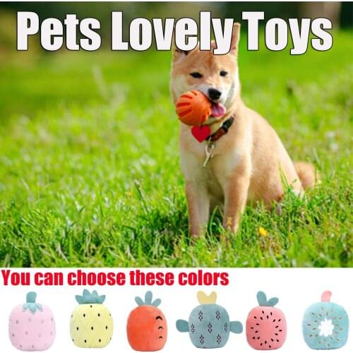 Pets Toy Pet Bite Toy Cactus Toy Interactive Pets Chew Kick Supplies Dogs Sleeping Toys Plush Teddy Chihuahua ของเล่นสุ Cacto