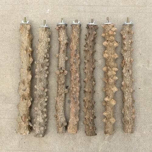 Free shipping 2pcs/lot Pure natural wild Chinese prickly ash wood myna starling thrush parrot bird standing stick down bar