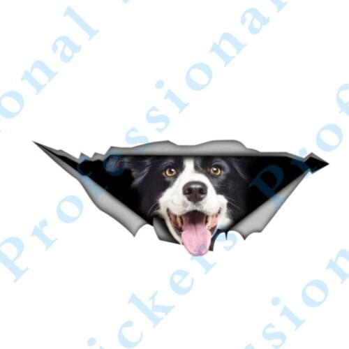 3D Animal 13 x 6.4 Boston Terrier Sticker Torn Metal Vinyl Decal Lovely Car Stickers Motorcycle Trunk Animal 3D Car Styling