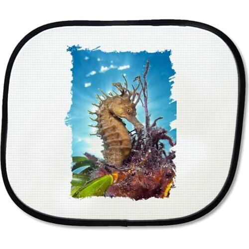 MERCHANDMANIA sea horse PARASOL fish and corals side windows car accessory flexible gift custom offer