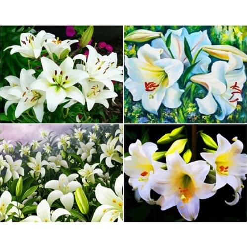 Canvas Size 5D Diy Diamond Painting Cross Stitch Kit Diamond Mosaic Embroidery " Flower " Painting Square/Round Drill Gift