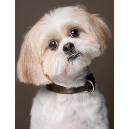 Full Drill Square Diy Diamond Painting Cross Stitch Shih Tzu Cute Puppies Diamond Embroidery Animal 5D Diamond Puzzle Wall Decor
