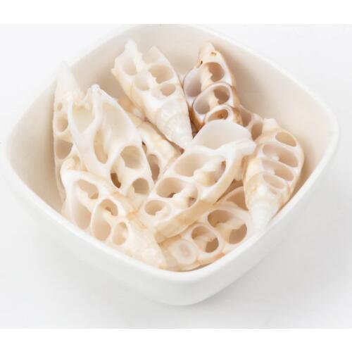 42-55mm white Natural Spiral Shell Loose Beads for jewelry making DIY 20pcs TRS0133