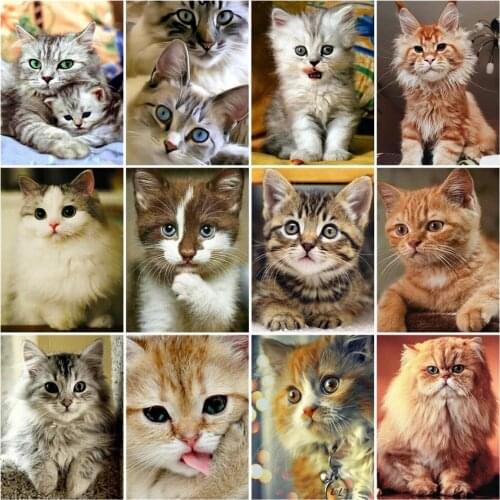 ARMYQZ5D Diy round diamond square diamond diamond painting cat cross stitch diamond embroidery animal mosaic wall art decoration