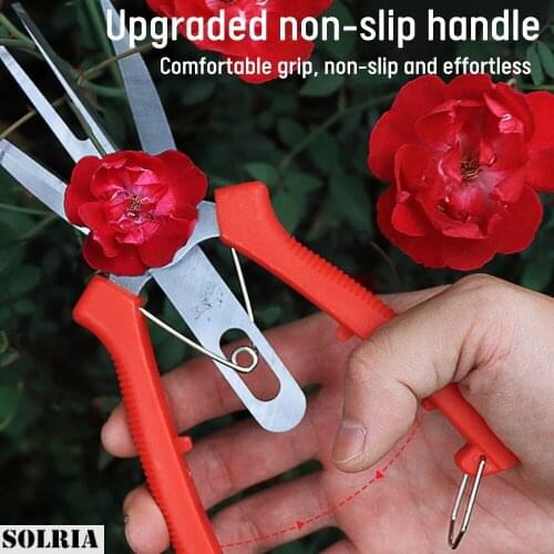 Household Double-edged Fruit Picking Scissors Dual-purpose Citrus Stainless Steel Tree Flower Scissors Grape Garden Hand Tools