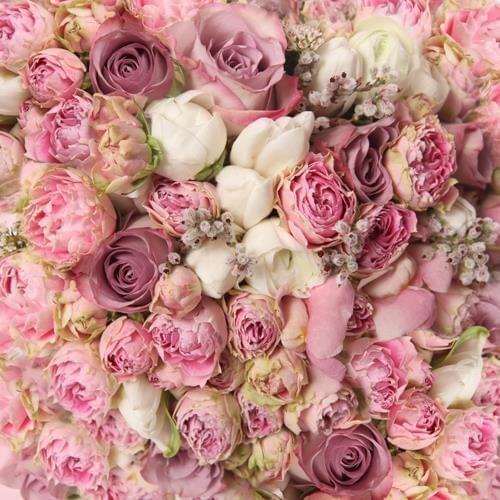 Flowers In Full Bloom Wedding Photography Background White And Pink Roses Vinly ValentineS Day Backdrops