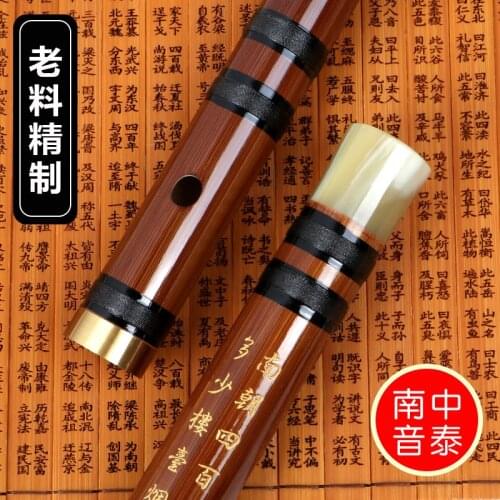 Nanyin bitter bamboo flute professional learning performance double plug purple bamboo flute student training performance flute
