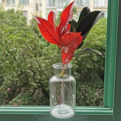 2pcs/15-20cm,Natural Preserved Osmanthus leaves Bouquet,Eternal Real leaf Display Flower for Wedding Home Decoration accessories