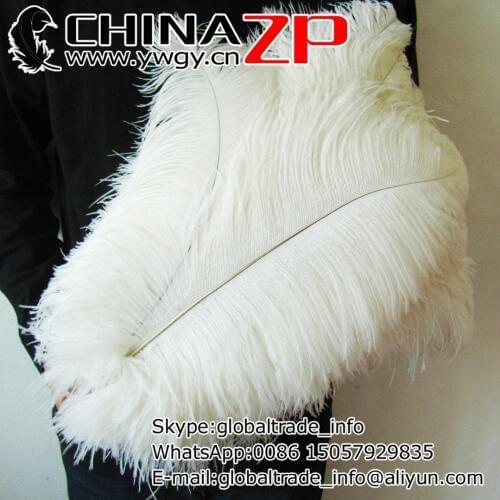 CHINAZP Factory Length Range 45cm-50cm 50pieces/lot wholesale TOP Quality Ostrich Feathers White Color