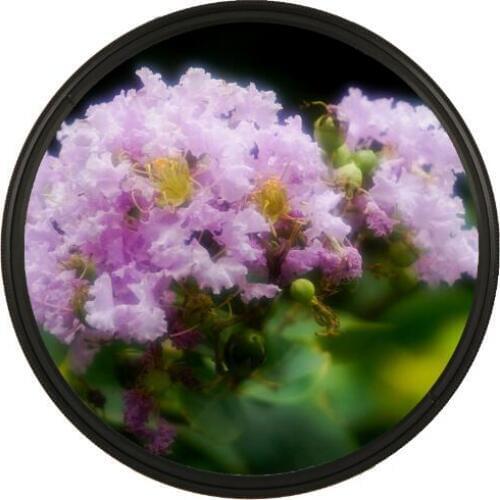 ZOMEI 52/55/58/62/67/72/77/82mm Dreamy Hazy Soft Focus Special Diffuser Portrait Filter Lens For Nikon Canon Sony DSLR Camera