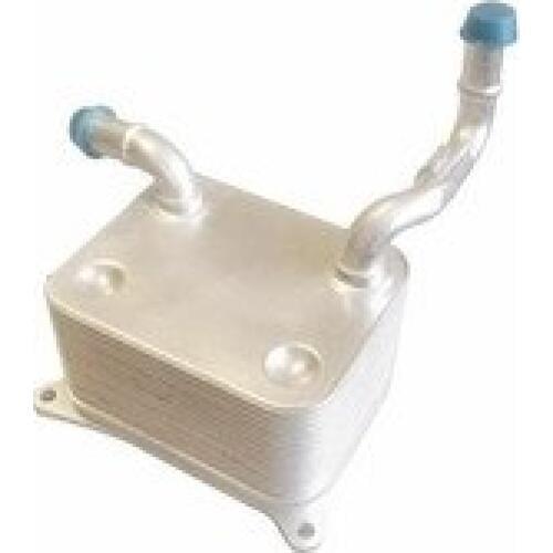 Parts OE No 079117021A oil cooer 079 117 021A OEM No 079 117 021 A