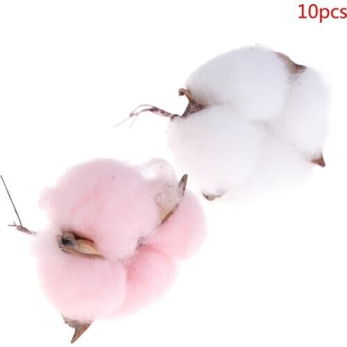 10Pcs Natural Cotton Flower Dried Artificial Flowers Plants Colorful Wedding Christmas Home Wreath DIY Decor Florist Supplies