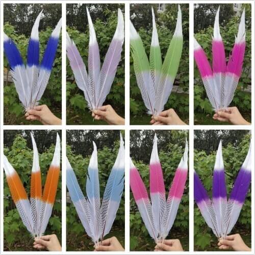100 pcs 10 Colors Natural Silver Pheasant Tail Feather 55-60cm/22-24inches For Wedding Christmas Home Craft New Year decoration