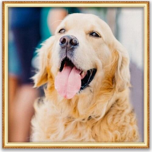 Animal Golden Retriever DIY Cross Stitch Embroidery 11CT Kits Craft Needlework Set Printed Canvas Cotton Thread Home Decoration