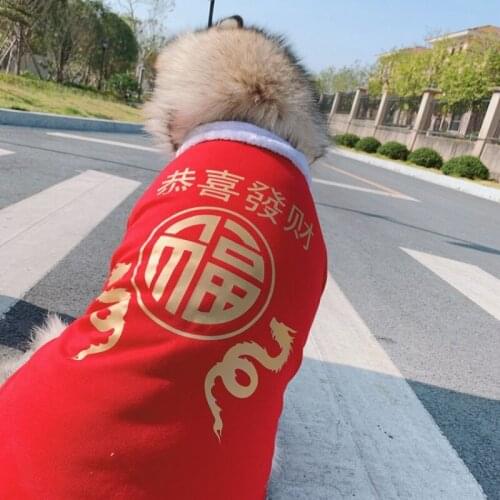 Chinese New Year Dog Clothes Winter Big Large Dog Outfit Samoyed Husky Labrador Golden Retriever Dog Coat Jacket Tang Suit