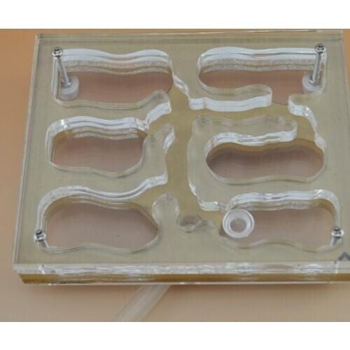 Plane Ecological Ant Nest Three-dimensional Acrylic Anthill Ant Cute Ants Farm House