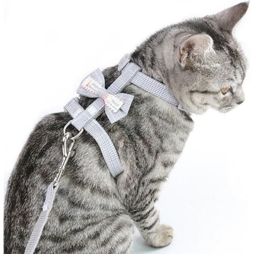 Украшения для животных HEONYIRRY China At AliExpress