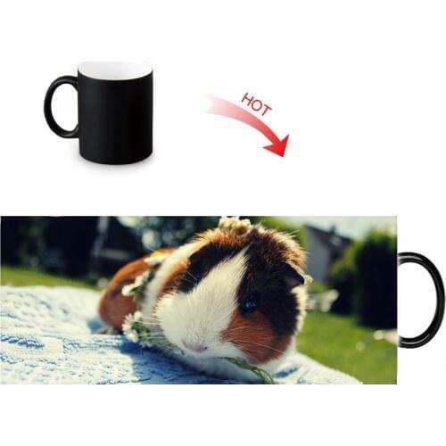 Customized Ceramic Coffee Mugs Guinea Pig Milk Tea Magic Color Change Mug Heat Sensitive Color Changing Water Cup 12oz