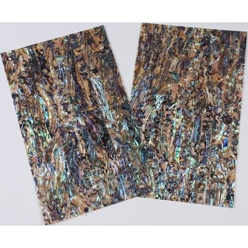 Hot Selling Sea Shell Slice Wall Decoration Nice Accessories