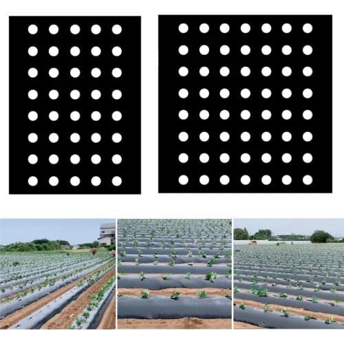 Perforated Film Heavy-duty Weed Barrier Landscape Fabric Membrane Garden PE Mulching Plastic Holes Vegetable Greenhouse Plants