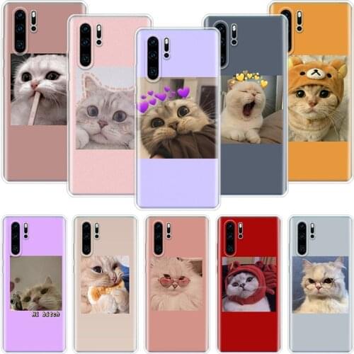 Super Lovely Cat Kitten Cute Funny Phone Case For Huawei Honor 10 9 20 9X 8A 8X 8S 7A 7X Lite Pro 10i 20i Y5 Y6 Y7 Y9 2019 Cover