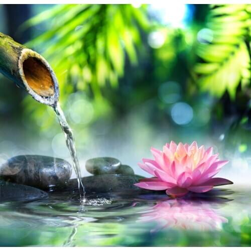 Evershine Full Square Drill 5D DIY Diamond Painting Orchid Stone Embroidery Cross Stitch Flower Home Decoration